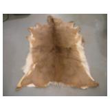 WHITE TAIL DEERE PELT
