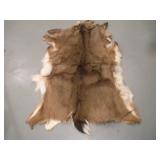 WHITE TAIL DEERE PELT