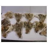 ASSORTED FOX HEAD PELTS