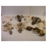 ASSORTED FOX HEAD PELTS AND TAILS