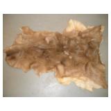 WHITE TAIL DEERE PELT