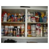 PAINTS AND STAINS CONTENTS OF CABINET