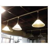 TRACK LIGHTING W/ 3 LIGHTS