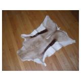 TANNED "SPRINGBOK" ANTELOPE PELT