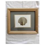 Seashell Framed Wall Art