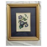 Floral Print "Thunberger chrysops"