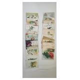 50 - Birthday Postcards