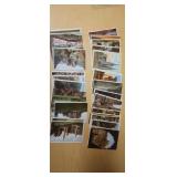 50 - Colorado Postcards