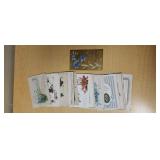 25 - Birthday Greeting Postcards