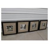 Set of Tree/Park Framed Pictures