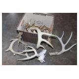 Deer Sheds & Skulls