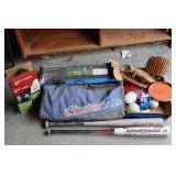 Ladder Game & Sports Equipment