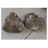 Petrified Wood Landscaping Stones