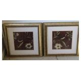 Framed Bird Prints