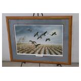 Late Break-Canadas by David Maass