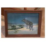 Lone Wolf Framed  Print