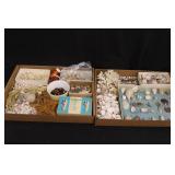 Collectible Sea Shells