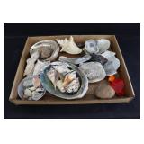 Sea Shells