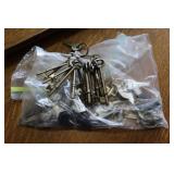 Skeleton & Other Keys