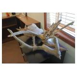 Driftwood Dï¿½cor
