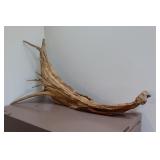 Driftwood Dï¿½cor