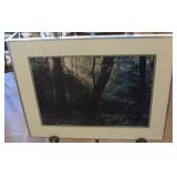 Framed Forest Photograph