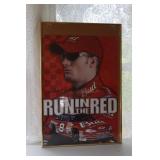 Dale Earnhardt Jr. Framed Poster