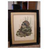 Signed Ruffled Grouse Print by Richard Sloan