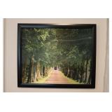 Holographic Tree Line Picture