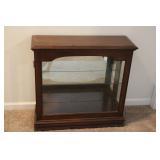 Modern Lighted Curio Cabinet