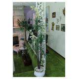 Rubber Plant