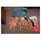 Barbie Dolls & Accessories