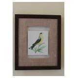 Vintage Goldfinch Framed Print