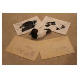 Handcarved Wooden Duck & Duck Decoy Blueprints