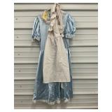 Used Sz. M Satin Dress Costume