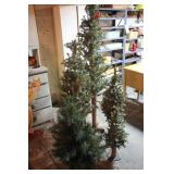 5 Mini Christmas Trees