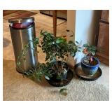 Plants & Aluminum Garbage Can