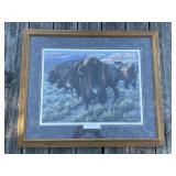 Large Framed & Numbered Art Print of Bison