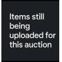 August 13th - 2 Week Auction Guns, Tools and More