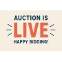 10-15 Furniture, Tools, Collectibles, Cameras and more