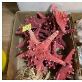 Red Decorative Starfish Lot