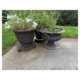 Plants in Plastic Planters with Stands