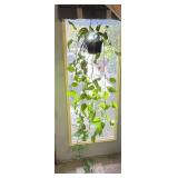 Hanging Potted Vine Plant
