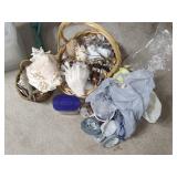 Large Assortment of Sea Shells