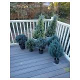 Assorted Faux Plants
