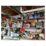Contents of Shelves - Read Details