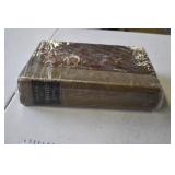 Public Acts of Tennessee Book 1919