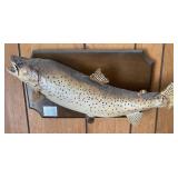 Vtg Taxidermy Brown Trout Display Vtg Taxidermy Brown Trout Display