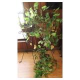 Indoor Potted Houseplants with Stands Indoor Potted Houseplants with Stands