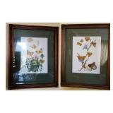 Framed Botanical Butterfly Prints
